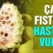 Balıkesir’de çamfıstığını hastalık vurdu