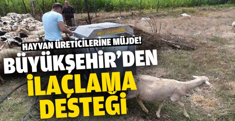 Büyükşehir’den hayvan üreticilerine ilaçlama desteği