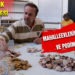 MAHALLEEVLERİNDEN MOZAİK VE PODİMA KURSU