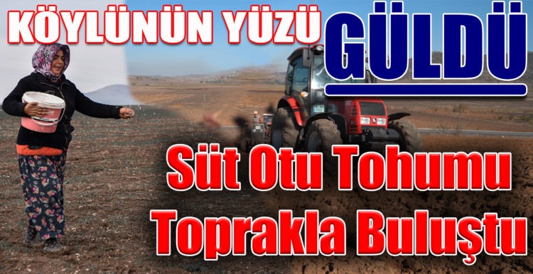 Başkan Yılmaz’ın Balıkesirli çiftçilere dağıttığı süt otu tohumu toprakla buluştu.