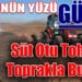 Başkan Yılmaz’ın Balıkesirli çiftçilere dağıttığı süt otu tohumu toprakla buluştu.
