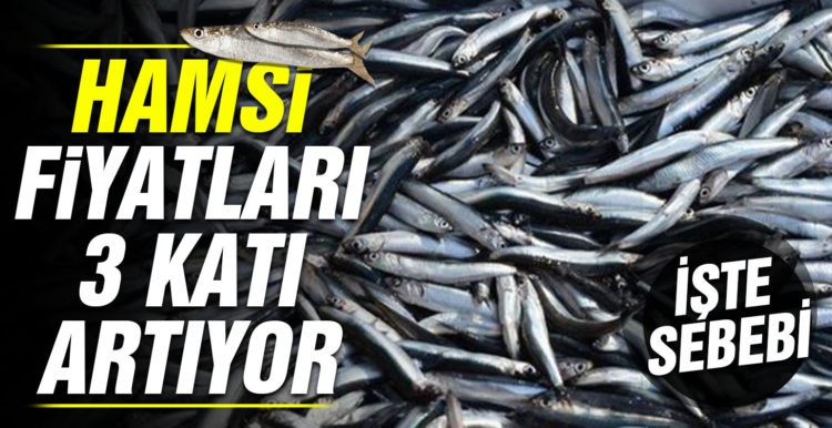 Nakliye ücretleri hamsi fiyatını 3 kat arttırıyor