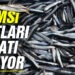 Nakliye ücretleri hamsi fiyatını 3 kat arttırıyor