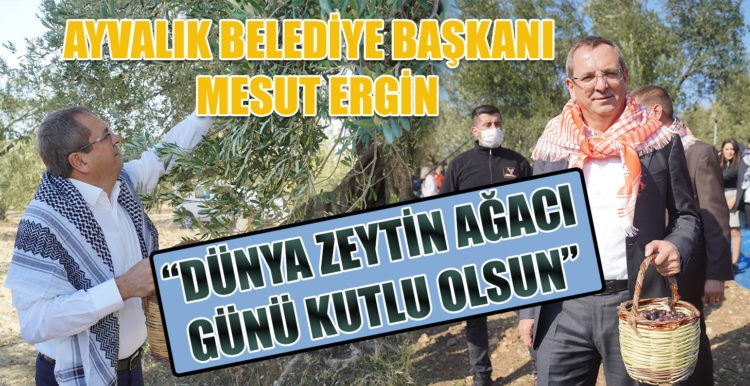 MESUT ERGİN: “DÜNYA ZEYTİN AĞACI GÜNÜ KUTLU OLSUN”