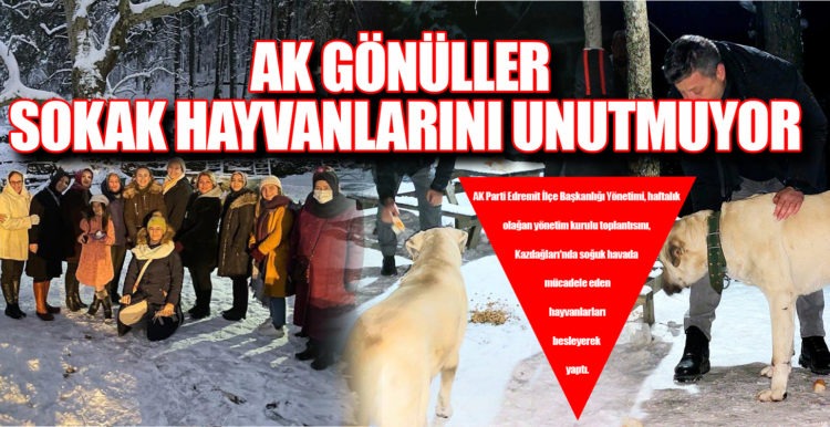 AK GÖNÜLLER SOKAK HAYVANLARINI UNUTMUYOR