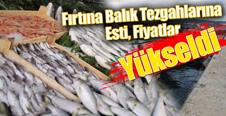 Fırtına Balık Tezgahlarına Esti, Fiyatlar Yükseldi !