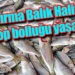 Bandırma Balık Halinde çinekop bolluğu yaşanıyor