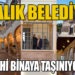 AYVALIK BELEDİYESİ TARİHİ BİNAYA TAŞINIYOR!!!