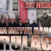 257 DEKAR ALANDA KAPAMA MEYVE BAHÇELERİ KURULACAK !!