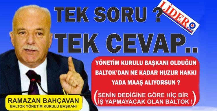 TEK SORU TEK CEVAP