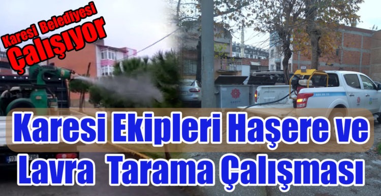 Karesi Haşere ve Lavra Mücadelesi !!!