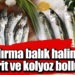 Bandırma balık halinde istavrit ve kolyoz bolluğu