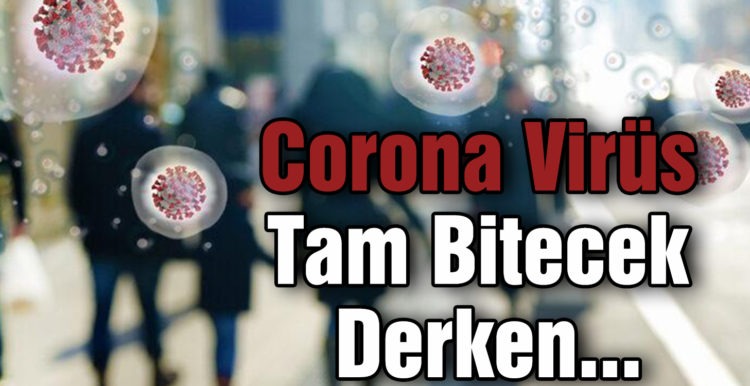 Corona Virüs Tam Bitecek Derken…