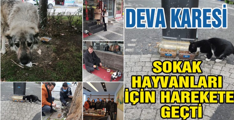 DEVA KARESİ SOKAK HAYVANLARI İÇİN HAREKETE GEÇTİ