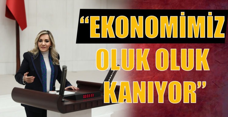 “EKONOMİMİZ  OLUK OLUK  KANIYOR”
