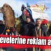 Güreş Develerine Reklam Alıyorlar