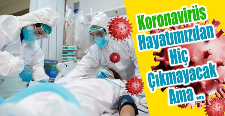 Koronavirüs hayatımızdan hiç çıkmayacak ama …