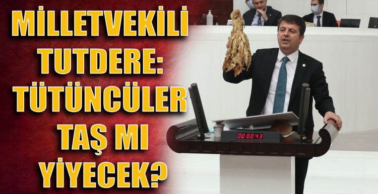 MİLLETVEKİLİ TUTDERE: TÜTÜNCÜLER TAŞ MI YİYECEK?