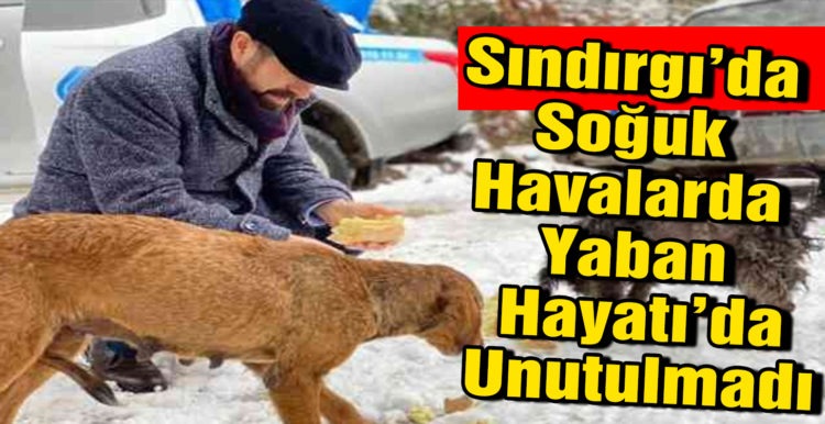 Sındırgı’da Soğuk Havalarda Yaban Hayatı’da Unutulmadı !