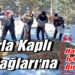 Karla Kaplı Kazdağları’na Yaban Hayvanları İçin Yem Bırakıldı …