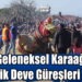 12.Geleneksel Karaağaç Folklorik Deve Güreşleri Yapıldı