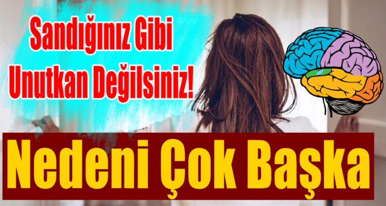 Sandığınız Gibi Unutkan Değilsiniz! Nedeni Çok Başka