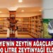 BELEDİYE’NİN ZEYTİN AĞAÇLARINDAN 10 BİN 500 LİTRE ZEYTİNYAĞI ELDE EDİLDİ
