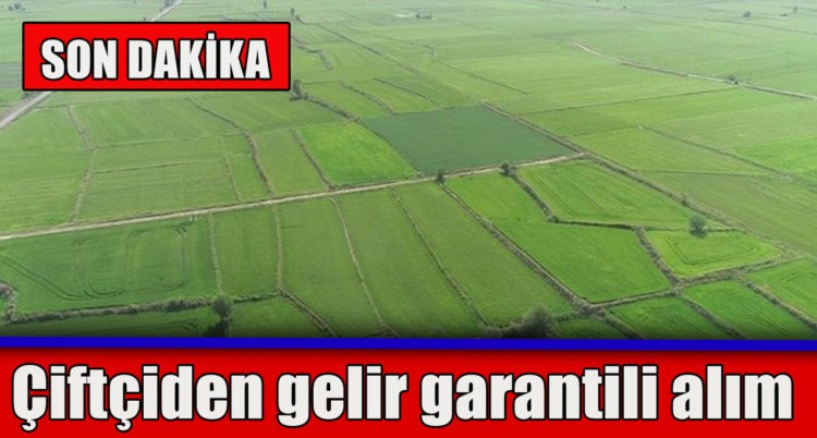 Başkan Erdoğan talimatı verdi! Çiftçiden gelir garantili alım