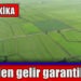 Başkan Erdoğan talimatı verdi! Çiftçiden gelir garantili alım