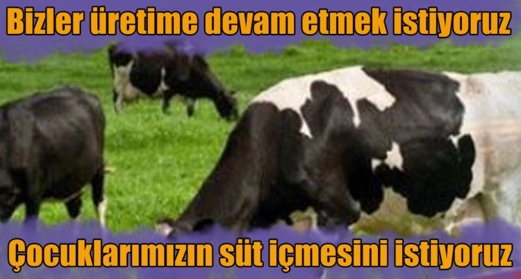 Devletimizden bizi desteklemesini istiyoruz
