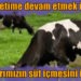 Devletimizden bizi desteklemesini istiyoruz