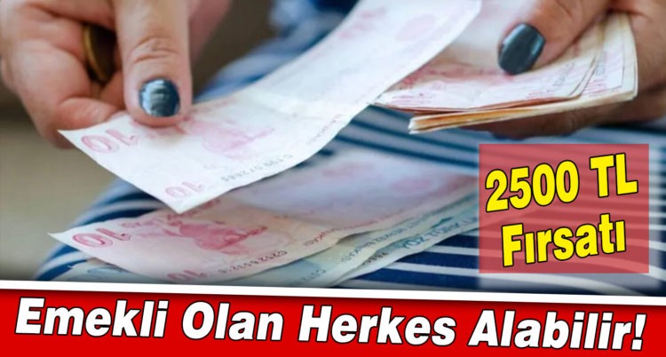 Emekli olan herkes alabilir! 2500 TL fırsatı…
