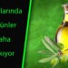 ZEYTİNYAĞINDA DA ARTIŞ ?