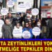 AYVALIK’TA ZEYTİNLİKLERİ YOK EDECEK YÖNETMELİĞE TEPKİLER DİNMİYOR