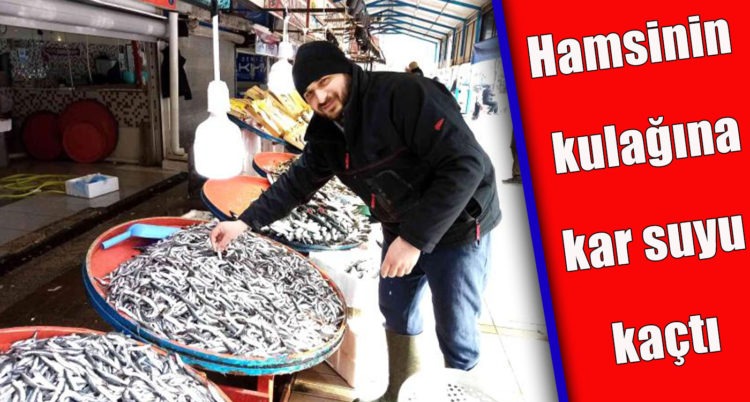 Hamsinin kulağına kar suyu kaçtı