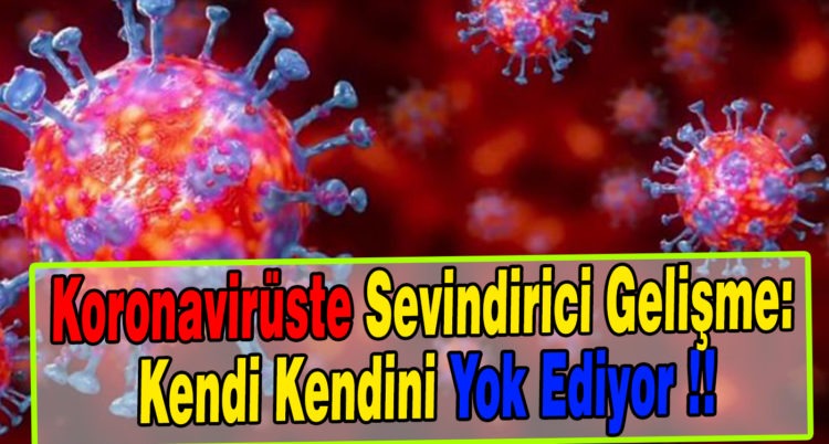 Koronavirüste sevindirici gelişme: Kendi kendini yok ediyor!