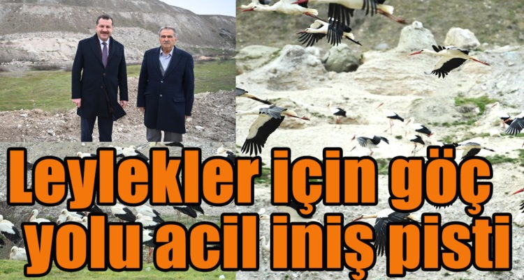 Leylekler için göç yolu acil iniş pisti
