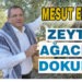 MESUT ERGİN: ” ZEYTİN AĞACIMA DOKUNMA “