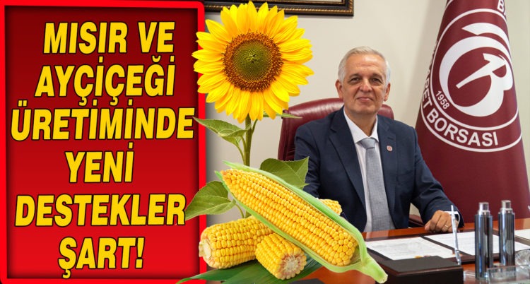 MISIR VE AYÇİÇEĞİ ÜRETİMİNDE YENİ DESTEKLER ŞART!