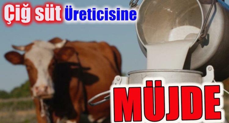 Çiğ süt Üreticisine destek müjdesi