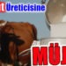 Çiğ süt Üreticisine destek müjdesi