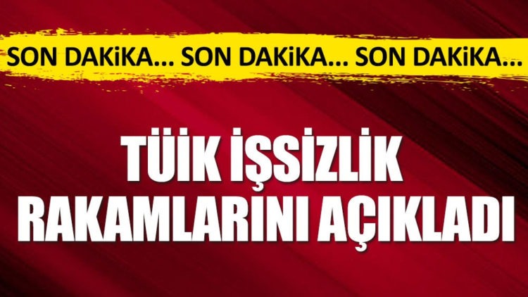 TÜİK Resmi işsizlik oranı açıklandı