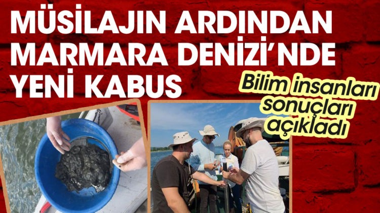 Marmara Denizi’nde yeni kabus…