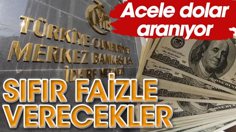 Acele dolar aranıyor