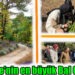 Türkiye’nin en büyük Bal Ormanı