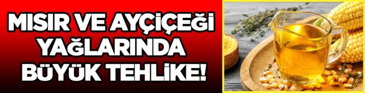 Mısır ve ayçiçeği yağlarında büyük tehlike!