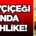 Mısır ve ayçiçeği yağlarında büyük tehlike!