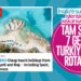 İngiliz Basını, Türkiye’de Tatil Seçeneklerini Sıraladı