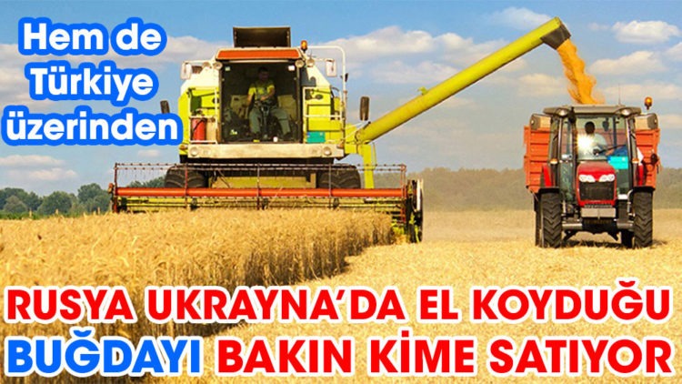 El koydukları buğdayı bakın kime satıyor?