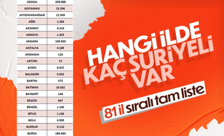 Türkiye’nin Hangi İlinde Kaç Suriyeli Var